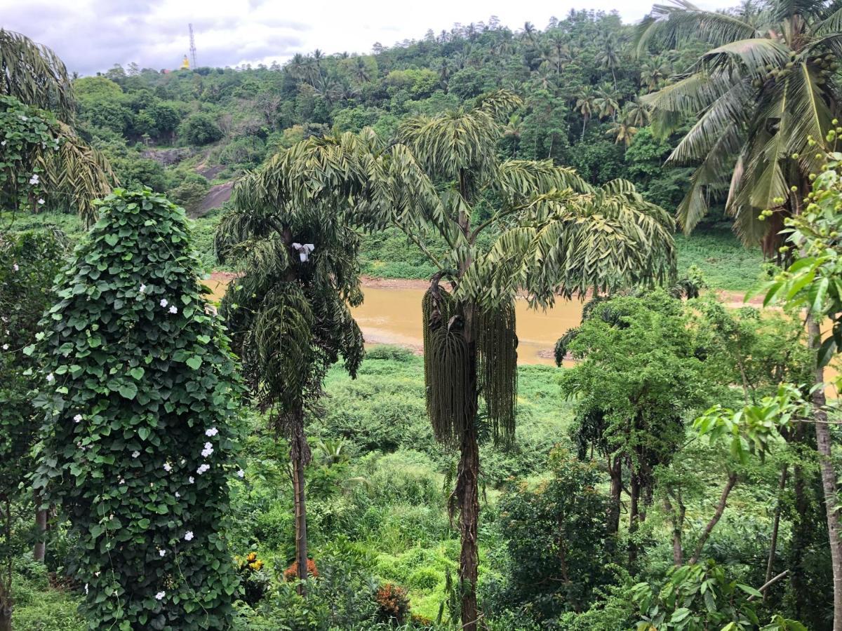 Kandy Rivers Edge Nature Resort Экстерьер фото
