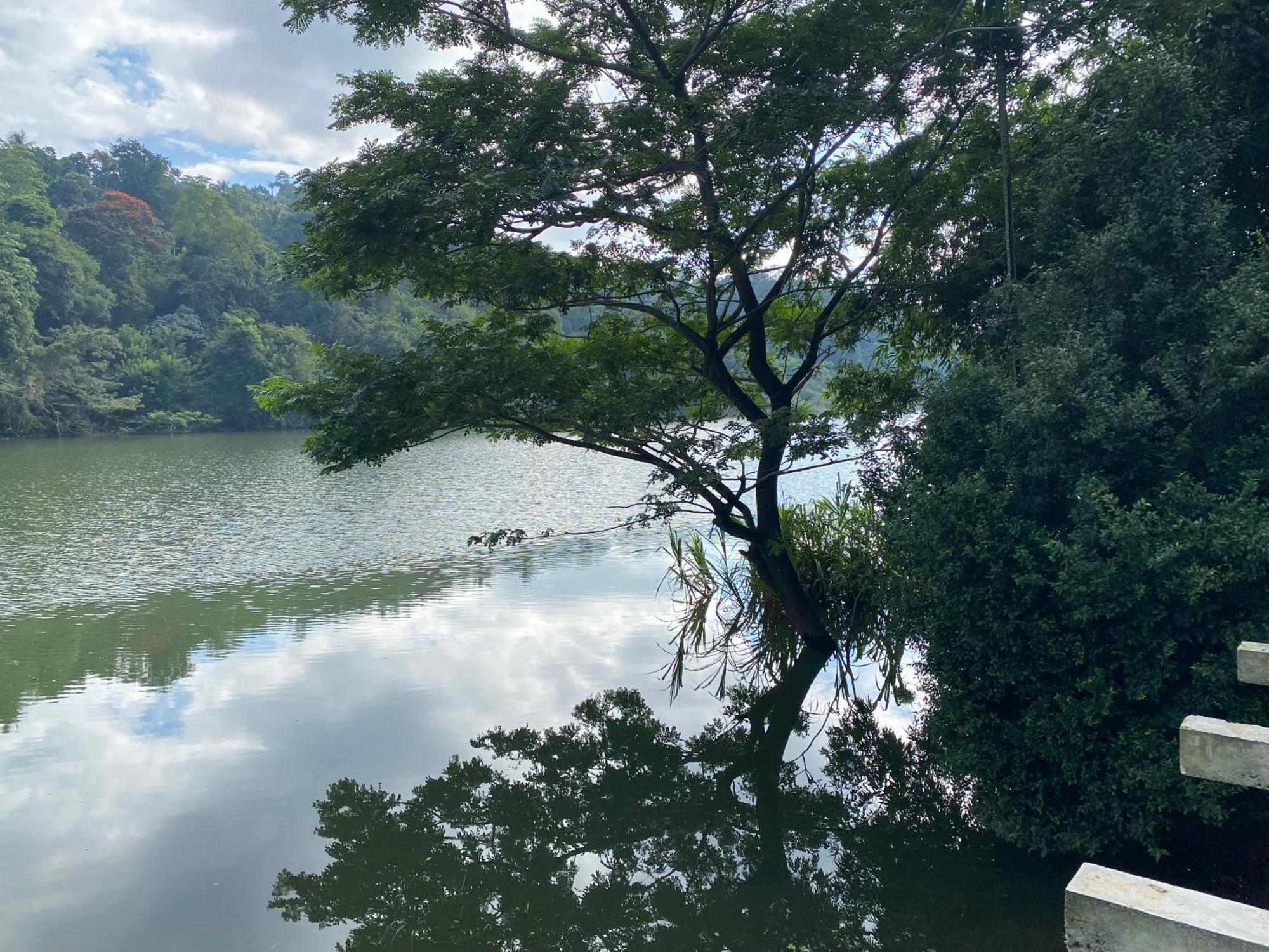 Kandy Rivers Edge Nature Resort Экстерьер фото