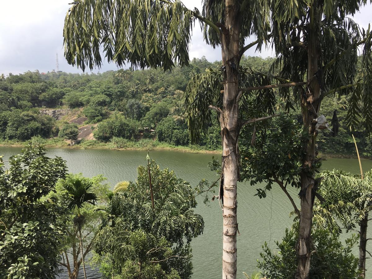 Kandy Rivers Edge Nature Resort Экстерьер фото